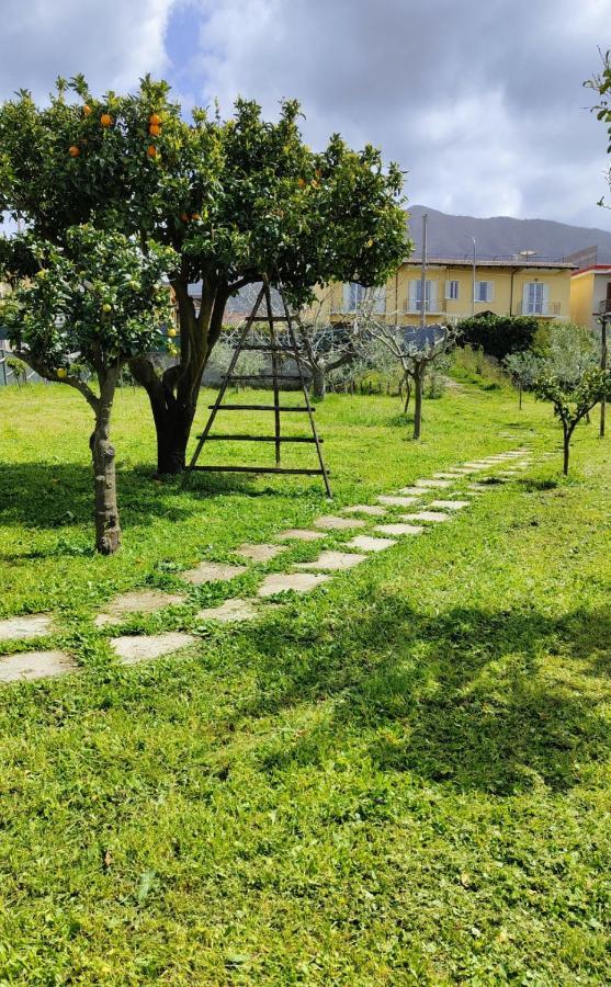 La Famiglia Hotell Pollena Trocchia Exteriör bild